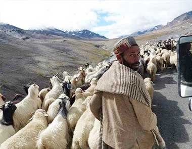 Overland from Srinagar